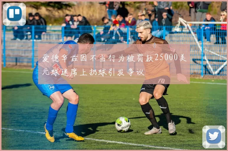 爱德华兹因不当行为被罚款25000美元球迷席上扔球引发争议