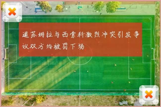 道苏姆拉与西索科激烈冲突引发争议双方均被罚下场